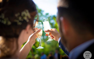 Photographe de mariage : Célébration du vin d’honneur des mariés en Seine et Marne
